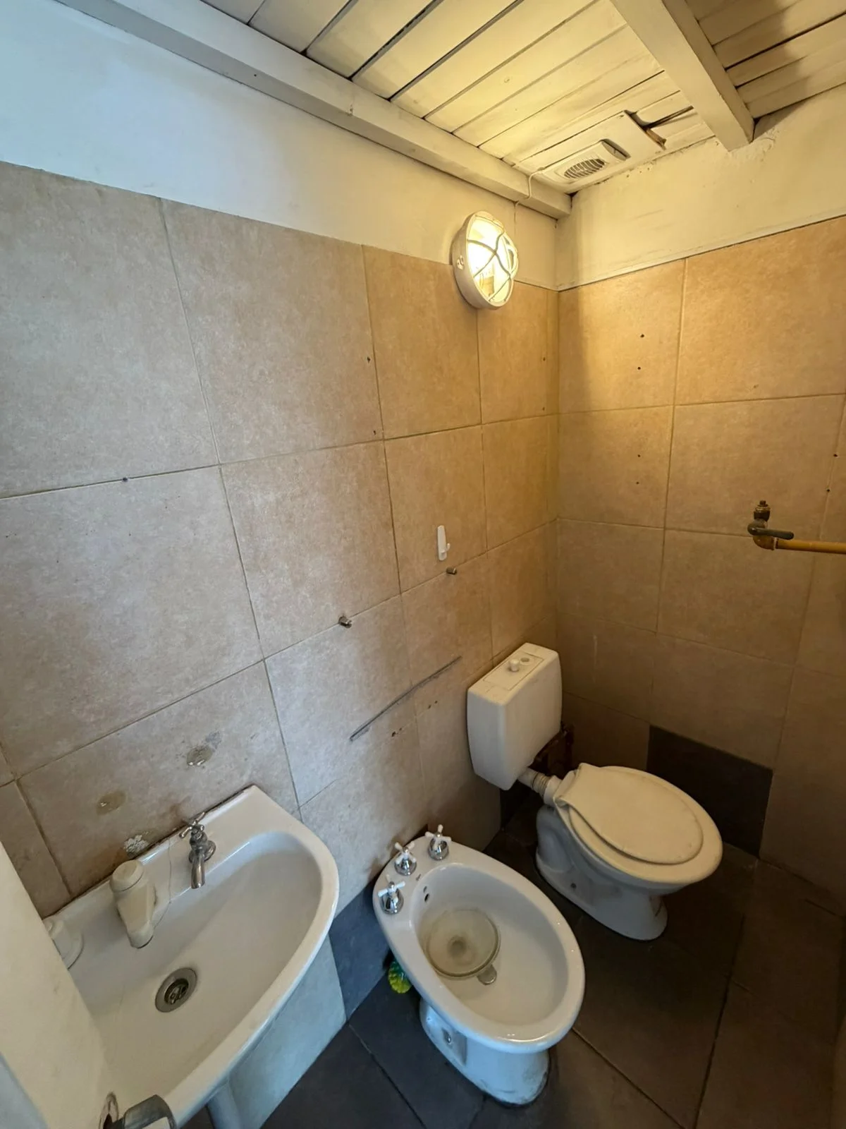 Local Comercial en Alquiler
