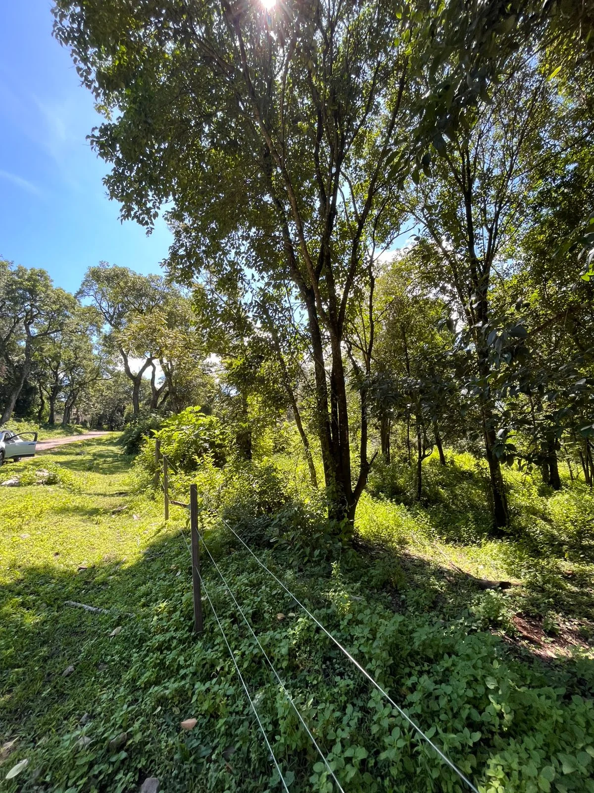 Terreno en El Remanso
