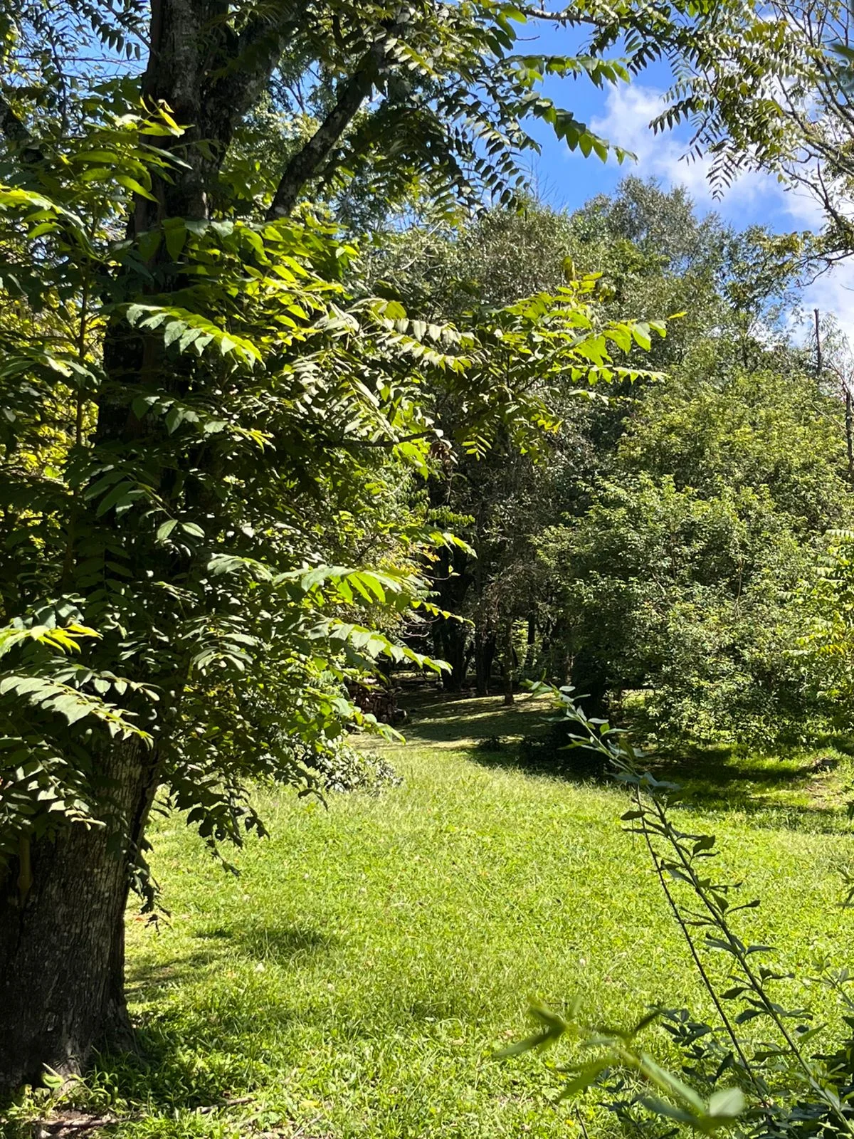 Terreno en El Remanso