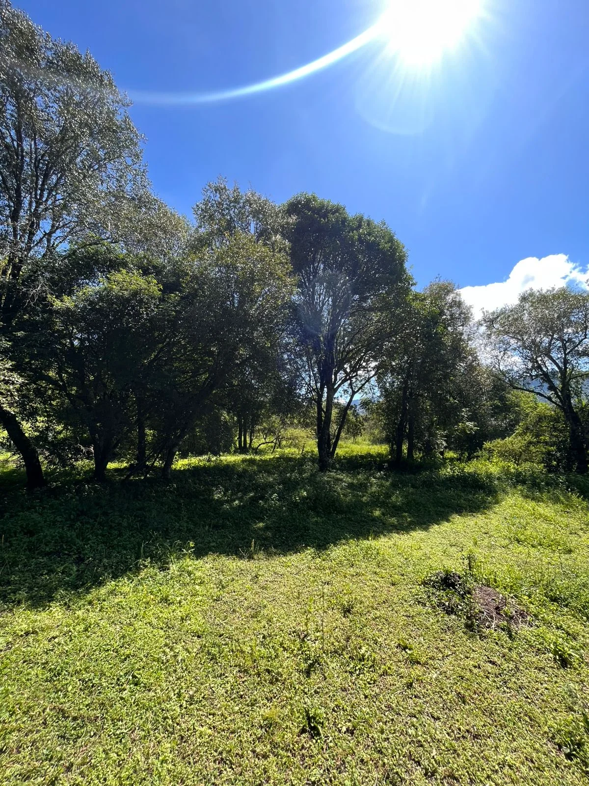 Terreno en El Remanso