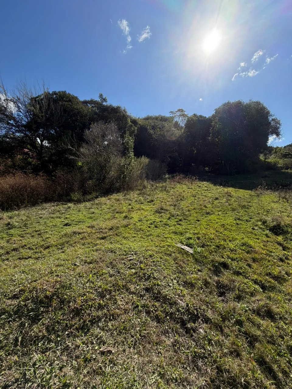 Terreno en El Remanso