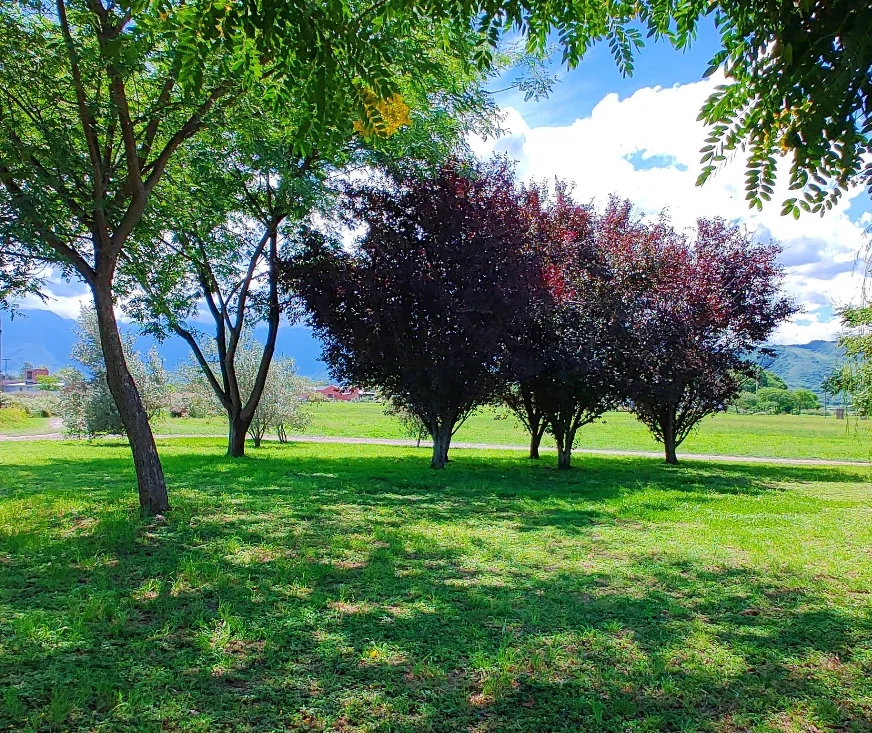 Terreno - Club de Campo El Encon 