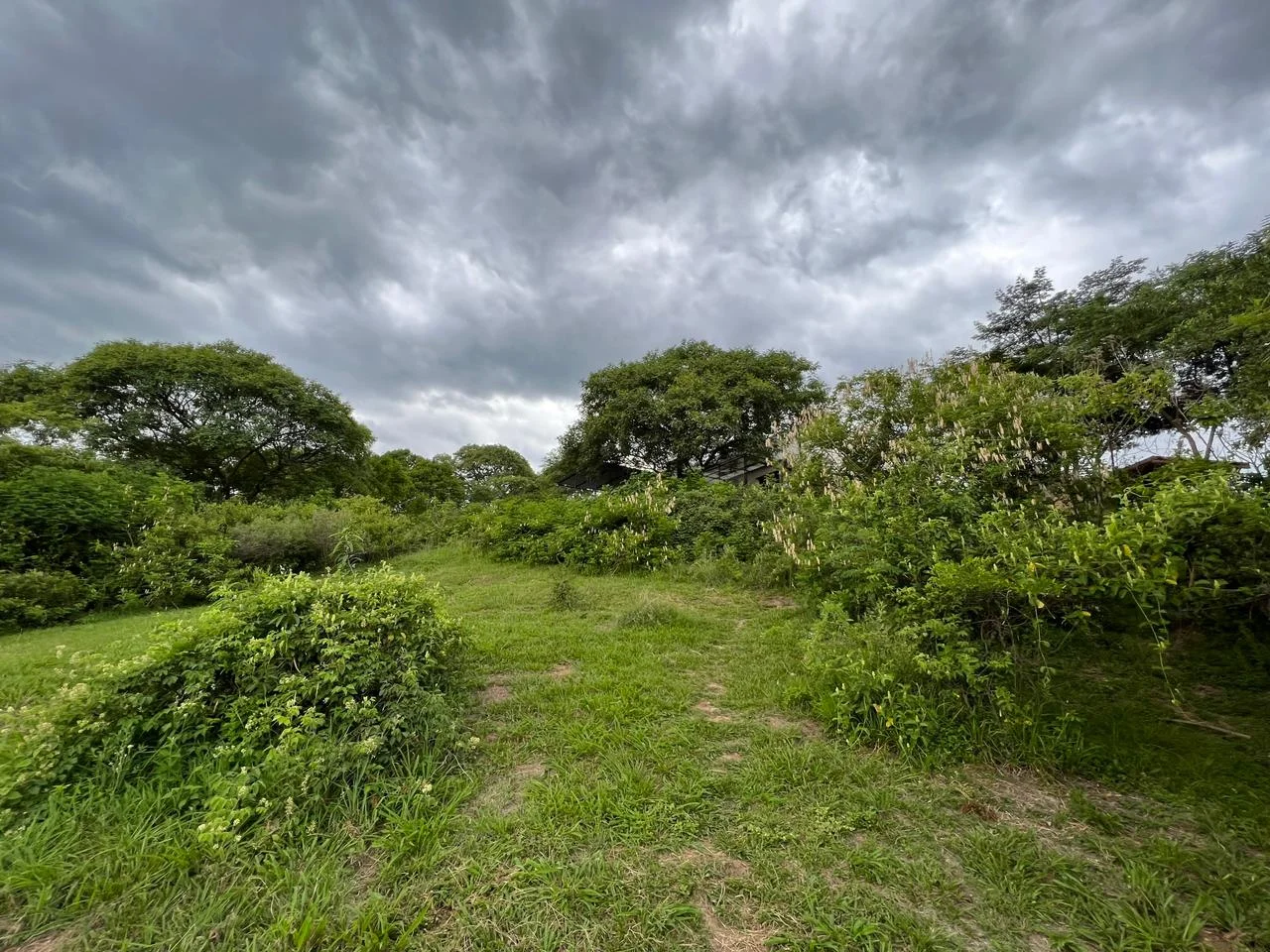 Terreno La Aguada