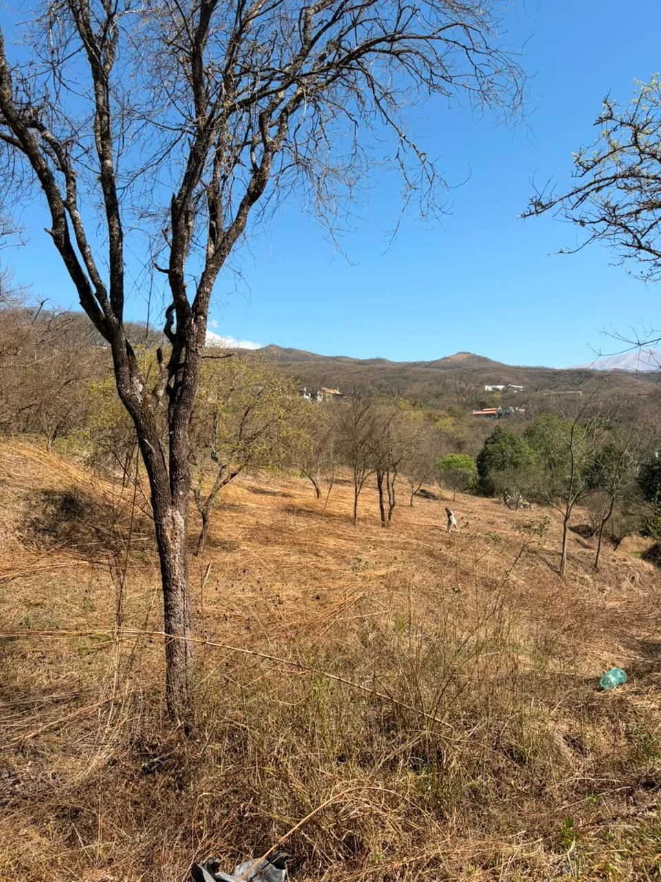 Terreno La Aguada