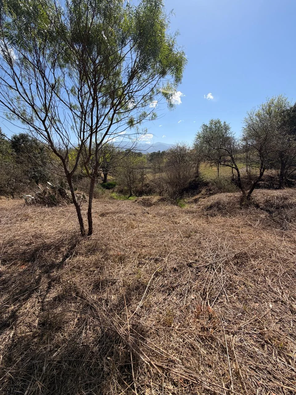 Terreno La Aguada
