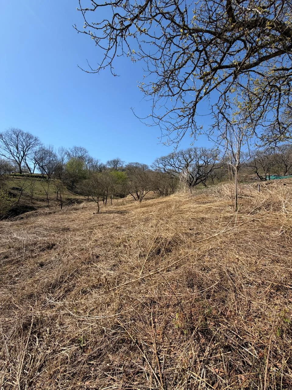 Terreno La Aguada